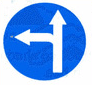 biển báo hiệu lệnh 301g - Hướng đi phải theo