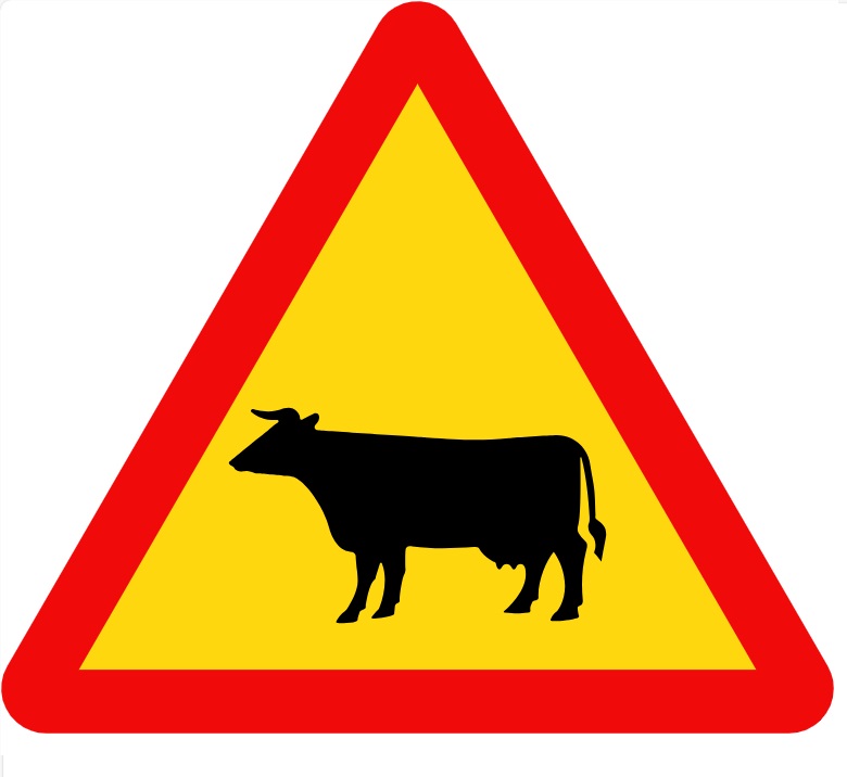 biển báo nguy hiểm 230 - Gia súc